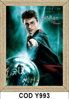 CUADRITOS Harry Potter COD-Y993 - comprar online
