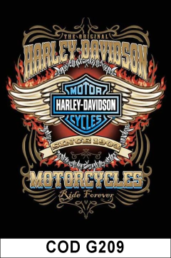 CUADRITOS Harley D. COD-G209 - comprar online