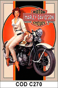 CUADRITOS Harley D. COD-C270 - comprar online