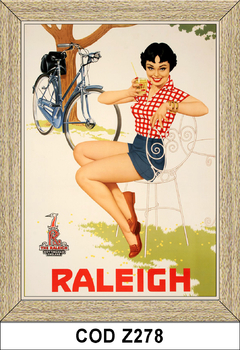 Raleigh COD - Z278 - comprar online