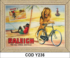 Raleigh COD - Y236 - comprar online