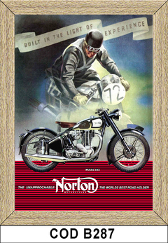 Norton COD-B287 - ImanesYA