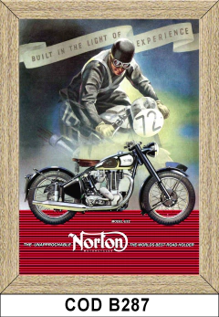 Norton COD-B287 - ImanesYA