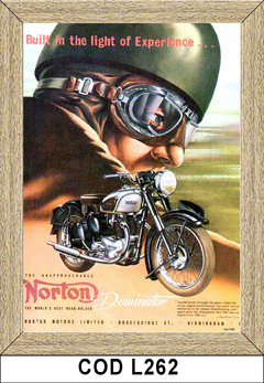 Norton COD-L262 - comprar online