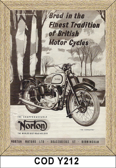 Norton COD-Y212 - comprar online