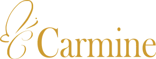 Carmine Acessorios de Luxo