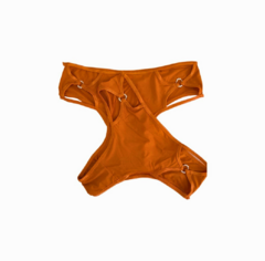 CULOTTE MILAN CON CRISTALES TOSTADO - comprar online