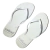 Chinelo Feminino Colcci Established - loja online