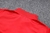 Conjunto de Treino Flamengo 23/24 - Agasalho Meio Zíper + Calça Vermelho - loja online