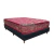 PROMO 55 | TAURUS Conjunto Sommier Resortes 120Kg por plaza- Doble Pillow Top Plus en internet