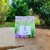 Chá do caminho verde - Alfazema Azul (Lavandula angustifolia) - 15gr - comprar online
