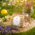 Blend Serena - saquinho presente - comprar online