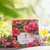 Chá do caminho verde - Gerânio (Pelargonium sp.) - 15gr - loja online