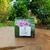Chá do caminho verde - Melissa (Lippia alba) - comprar online