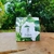 Chá do caminho verde - Patchouli (Pogostemon clabin) - 15gr - comprar online