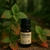 Óleo Essencial de Patchouli (Cymbopogon clabin) - comprar online