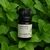 Óleo Essencial de Menta (Mentha arvensis) – 5ml