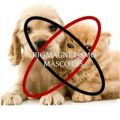 BIOMAGNETISMO ANIMAL
