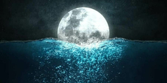TALLER AGUA LUNAR Y NECTAR LEVINAH
