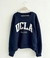 BUZO UCLA en internet