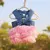 Pet Charme: Vestido de verão para cães e gatos com detalhes em renda, perfeito para deixar seu pet ainda mais charmoso. na internet