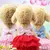 Pet Charme: Vestido de verão para cães e gatos com detalhes em renda, perfeito para deixar seu pet ainda mais charmoso. - loja online