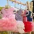 Pet Charme: Vestido de verão para cães e gatos com detalhes em renda, perfeito para deixar seu pet ainda mais charmoso.