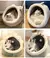 CosyNook: Cama dobrável e lavável para animais de estimação
