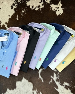 camisas sociais manga comprida polo Ralph Lauren e Calvin Klein
