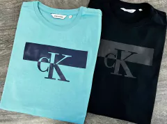 camisa básicas