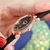 Moda de luxo relógio de pulso analógico relógio de pulso das senhoras reloj - comprar online