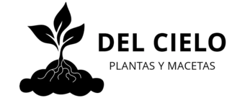 Del Cielo Plantas y Macetas