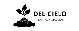 Del Cielo Plantas y Macetas