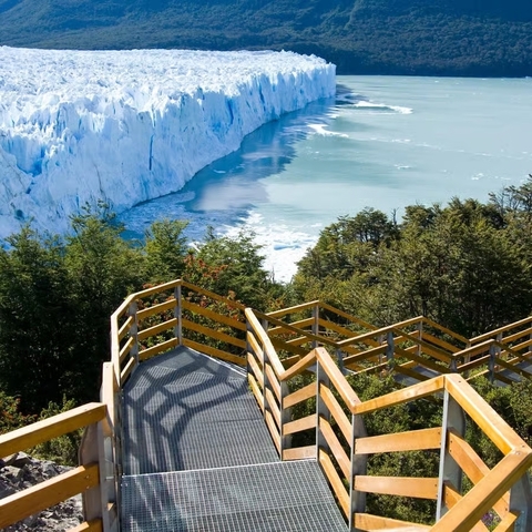 EL CALAFATE CON GLACIAR PERITO MORENO - ENERO - comprar online