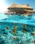 SAN ANDRES - COLOMBIA NOVIEMBRE - comprar online