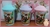 VASO MILKSHAKE SOUVENIR en internet