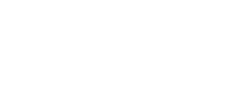 BOSSETA