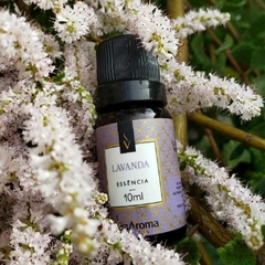 Essência Lavanda - Via Aroma