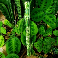 Incenso Patchouli - Bic Brand
