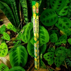Incenso Erva Doce - Bic Brand