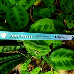 Incenso Anti-stress - Flute Tradicional - loja online