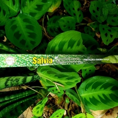 Incenso Sálvia - Flute Tradicional - loja online