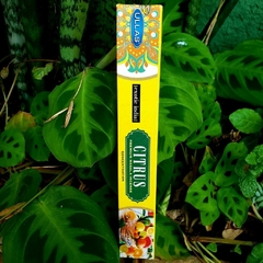 Incenso Citrus - Ullas Exotic Índia - loja online