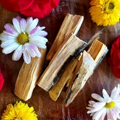 Palo Santo in Natura