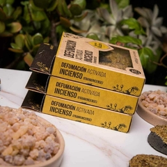 Pastilha de Defumação Ativada Incenso - Sagrada Madre com 4 Unidades - comprar online