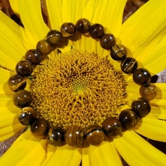 Pulseira Esfera Olho de Tigre - Combate a inveja e o Mau olhado - loja online