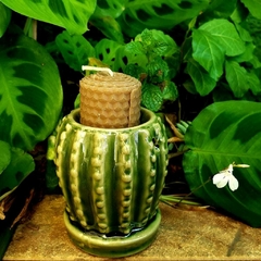 Rechaud Cacto - Verde