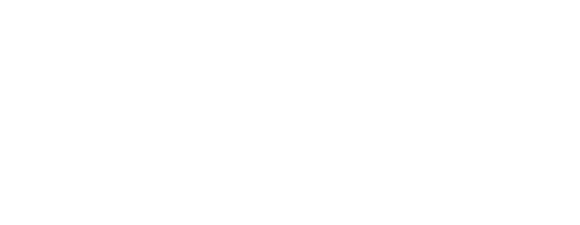 Birdie Brazil