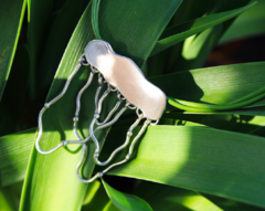 Banner de la categoría Joyería