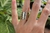 Anillo Kumo - comprar online